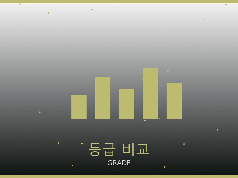 알렉산더 맥퀸 레플리카 사이트 등급 기준 비교